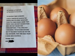 Jenius! Ini Trik Cerdas Tangkap Pencuri Makanan di Kantor