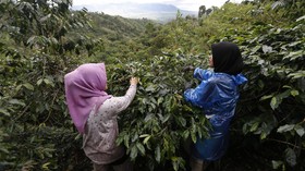 Jangan Pandang Sebelah Mata Perempuan di Industri Kopi