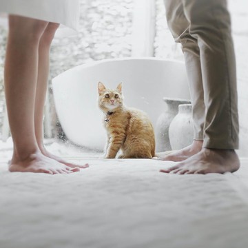 Ternyata Begini Alasan Ibu Hamil Dilarang Bersihkan Kotoran Kucing