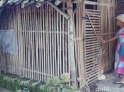 Nyaris 200 Unggas Milik Warga di Klaten Mati Mendadak