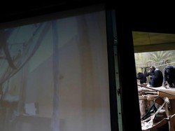Nggak Mau Kalah, Para Simpanse Ini Juga Hobi Virtual Meeting