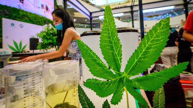 Penggunaan ganja untuk keperluan medis telah dilegalkan sejumlah negara. Berikut daftar beberapa negara yang mengizinkan ganja medis.
