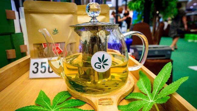 Direktur Eksekutif ICJR mengatakan pascaputusan MK, kini nasib legalisasi ganja medis ada di tangan pemerintah.