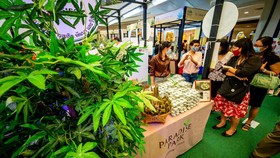 Thailand Akan Legalkan Ganja, Seperti Apa Aturannya?