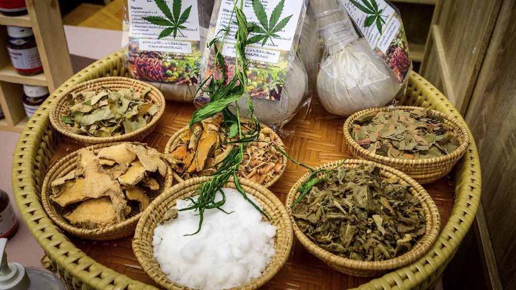 Rapat Bareng BNN, Hinca Demokrat Usul Kawasan Khusus Ganja Medis