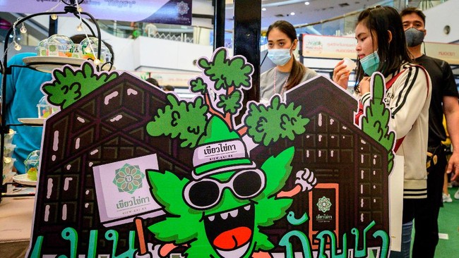 FOTO: Thailand Gelar Pameran Ganja di Pusat Perbelanjaan