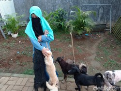 Cerita Wanita Cadar Bantah Pungut Anjing untuk Dipelihara hingga Dirukiah