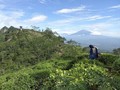 Pemkab Kulon Progo Awasi Kedatangan Pemudik di Perbatasan