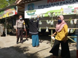 Posko Ketahanan Pangan Kampung Sehat Gegelang Sediakan Sayuran Gratis