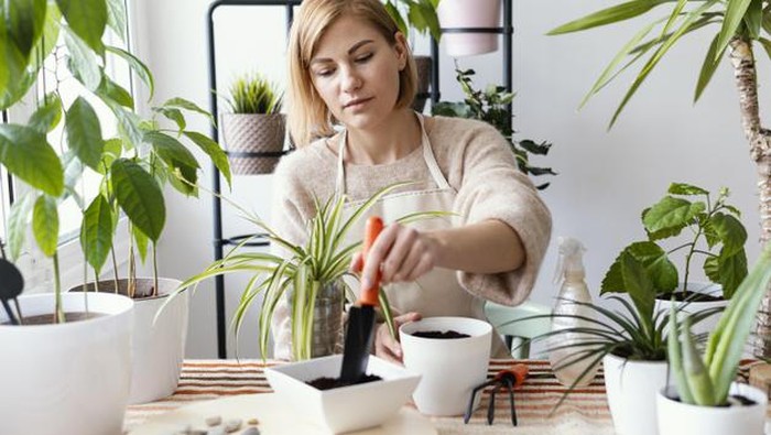 Rekomendasi Gardening Kit, Cocok Banget untuk Pemula!
