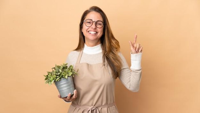 Jenis Tanaman yang Cocok di Dalam Ruangan, Bikin Rumah Makin Cantik & Estetik!