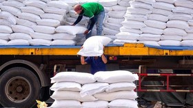 Cegah Harga Anjlok, Mentan Minta Bulog Serap Gabah Petani