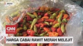 VIDEO: Harga Cabai Rawit Merah Melejit