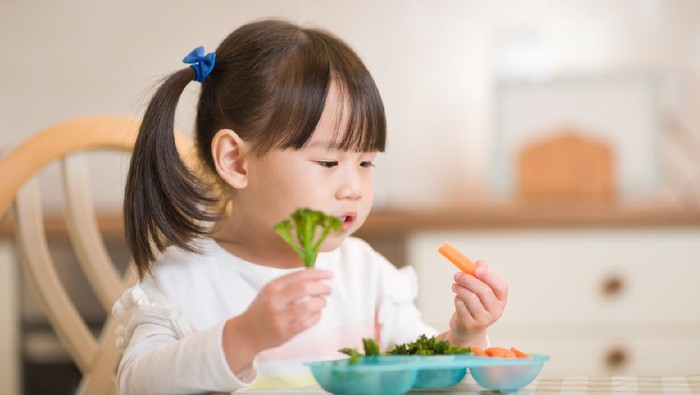 Ilustrasi anak makan