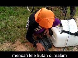 Salut! Nenek 68 Tahun Bertahan Hidup dengan Jualan Lele Keliling Kampung