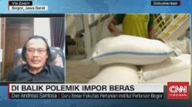 VIDEO: Di Balik Polemik Impor Beras