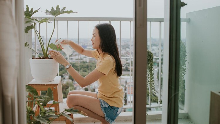 Portrait of beautiful Southeast Asian woman watering monstera tree at her apartment in the city, Bangkok Thailand