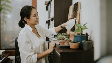 Cara Agar Tanaman Hias Sukulen Bunda Makin Cantik