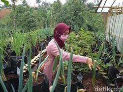 Salman ITB Akan Berdayakan 1.000 Desa Tertinggal Lewat Wakaf