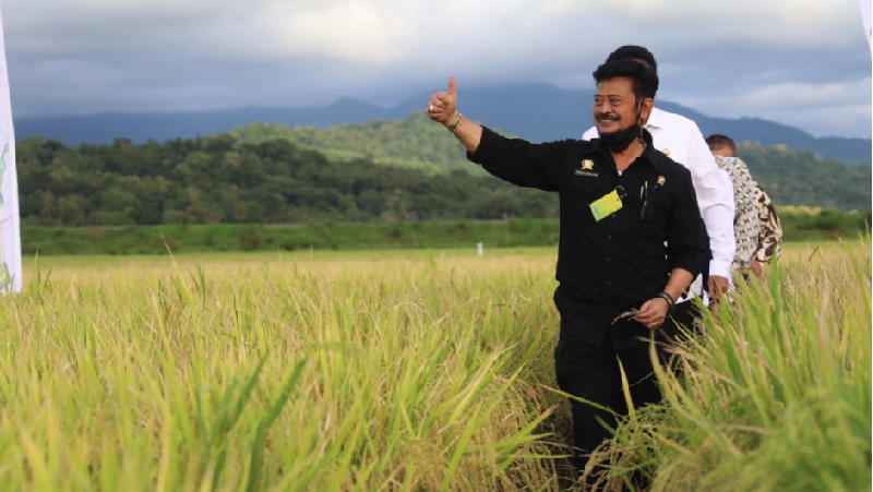 Menteri Pertanian (Mentan) Syahrul Yasin Limpo mendorong Kabupaten Barru sebagai wilayah sentra padi.