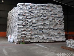 Soal Beras Hampir Busuk, Buwas Akui Bulog Tak Punya Gudang Khusus