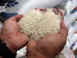106.000 Ton Beras Bulog Terancam Busuk, Nasibnya Masih Gantung