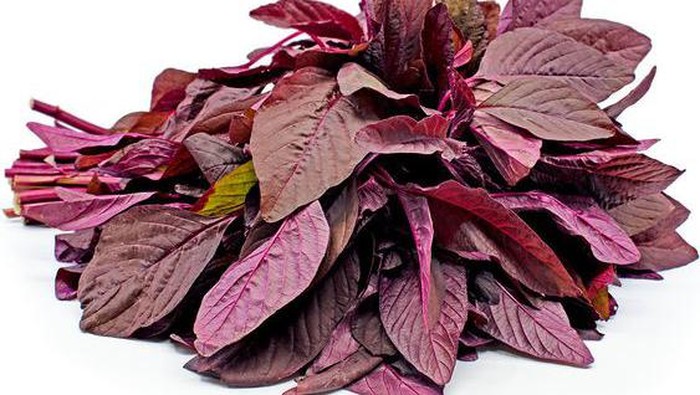 Tak Ramai Dibicarakan, Inilah 6 Manfaat Mengkonsumsi Bayam Merah