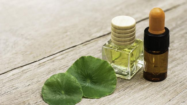 manfaat-centella-asiatica-untuk-jerawat-banyak-jadi-bahan-produk-skincare