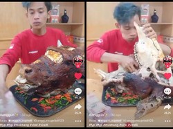 Gokil! TikToker Ini Mukbang Kepala Sapi dan Kepala Kambing Utuh