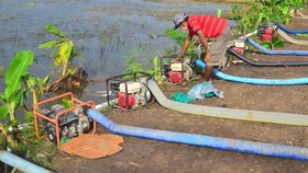 Lebih dari 3 Ribu Hektare Sawah di Kudus Puso karena Banjir Lama