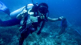 Gading Mammoth Usia 100 Ribu Tahun Ditemukan di Dasar Laut California