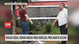 VIDEO: Kesal Hewan Masuk Area Sekolah, Pria Aniaya Kucing