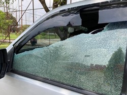 Penyitaan Orang Utan di Sumut Ricuh, Tim BKSDA Diserang-Dilempari Batu