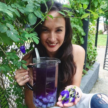 Mengenal Manfaat Bunga Telang yang Jadi Favorit Nadine Chandrawinata