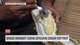 VIDEO: Sensasi Menikmati Durian Dipadukan dengan Kopi Pahit