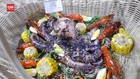 VIDEO: Mencicipi Olahan Gurita Jumbo Berbobot 2 Kilogram