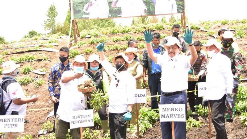 Menteri Koordinator Kemaritiman dan Investasi (Menko Marves) Luhut Binsar Pandjaitan meninjau kawasan food estate di Kabupaten Humbang Hasundutan (Humbahas)