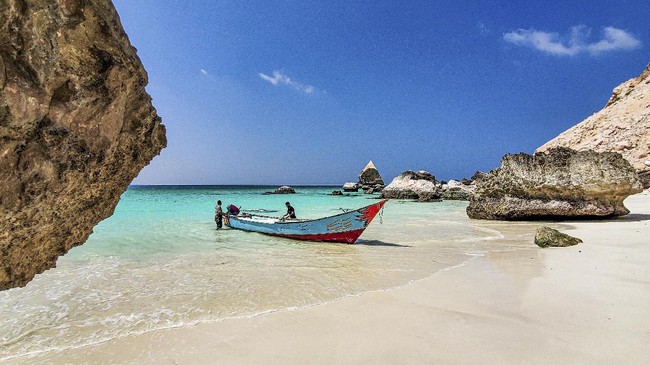 FOTO: Pulau Indah yang Ditumbuhi Pohon 'Berdarah'