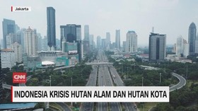 VIDEO: Indonesia Krisis Hutan Alam Dan Hutan Kota