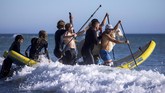 FOTO: Kambing Kegirangan Berselancar Menantang Ombak Seekor kambing membuat heboh karena ikut berselancar di sebuah pantai di California, Amerika Serikat.