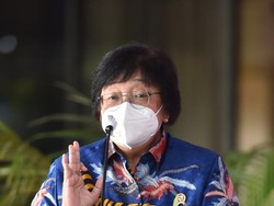 Menteri LHK: Pembangunan Jokowi Tak Boleh Berhenti atas Nama Nol Deforestasi