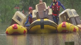 VIDEO: 20 Anjing Dievakuasi dari Kepungan Banjir