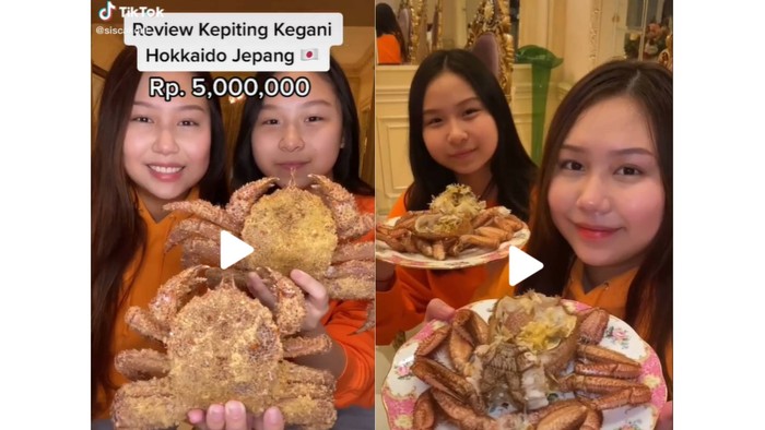 Kepiting Kegani (Rp. 5.000.000/ 2pcs), kepiting berbulu yang diimport langsung dari Jepang / foto: tiktok.com/siscakohl