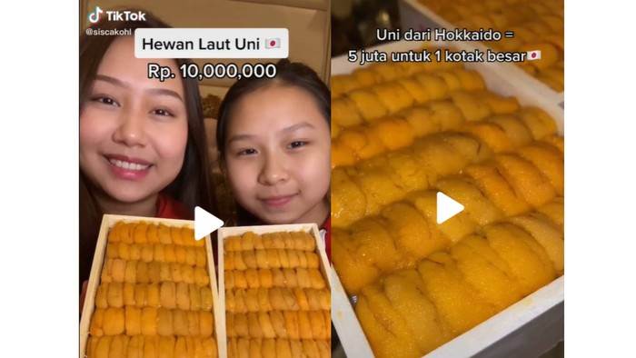 Bafun Uni, hewan laut uni khas Hokaido, Jepang (total Rp. 10.000.000/ 2 box) / foto: tiktok.com/siscakohl