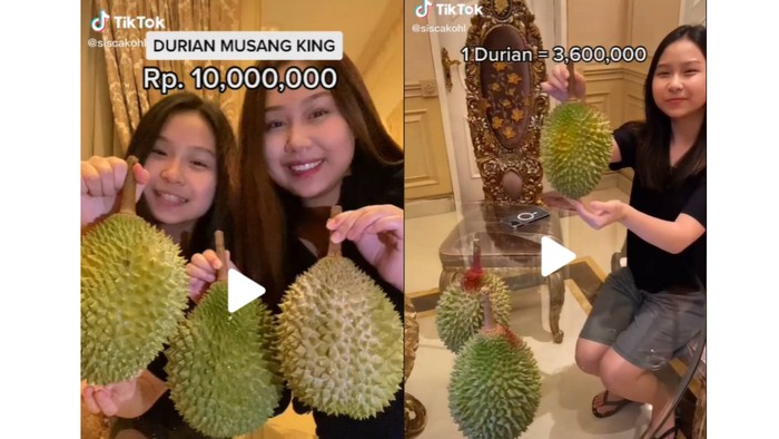 Durian Musang King, jenis durian terbaik yang populer di Malaysia dan Singapura (total Rp 10.000.000 / 3 pcs) / foto: tiktok.com/siscakohl