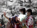 Pandemi Tak Batasi Penduduk Jepang Selfie dengan Sakura
