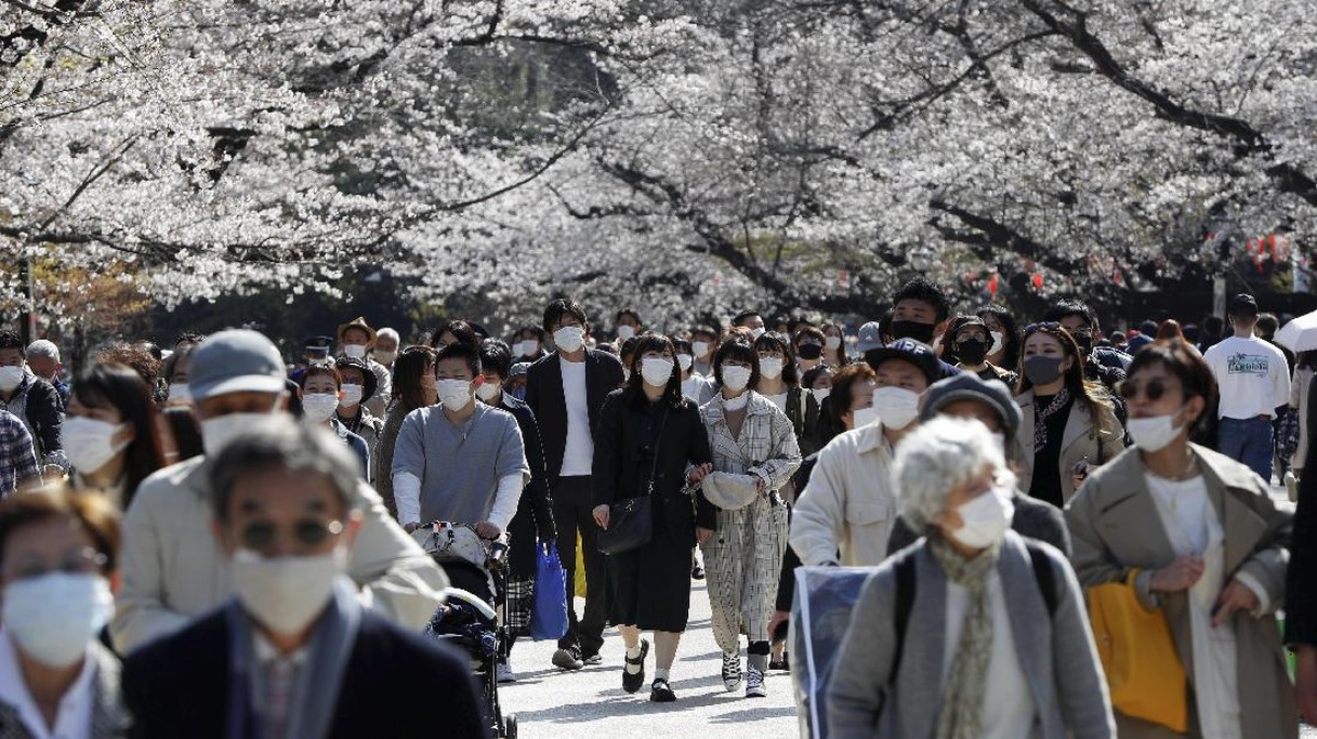 FOTO: Masker-masker di Musim Mekar Sakura