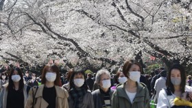FOTO: Masker-masker di Musim Mekar Sakura