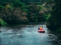 Tips dan Panduan Jika Ingin Berlibur ke Ekowisata Tangkahan