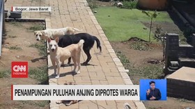 VIDEO: Penampungan Puluhan Anjing Diprotes Warga